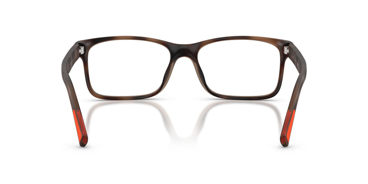 6070 - Tortoise