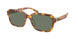 Coach Cl914 8388U Sunglasses