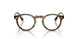 1689 - Brown