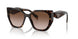 2AU6S1 - Havana - Brown Gradient