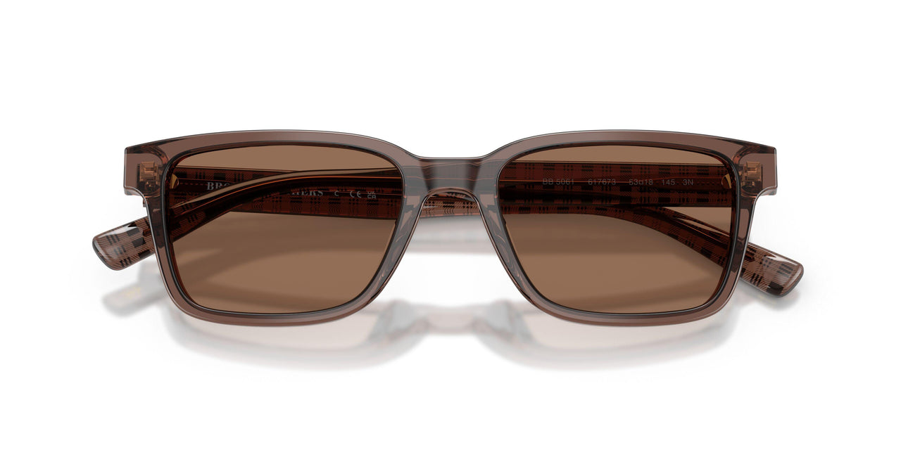 617673 - Brown - Brown