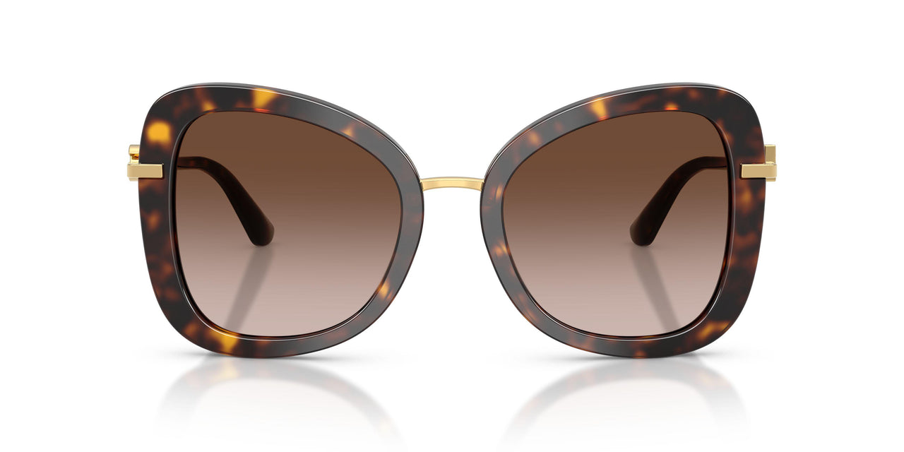 502/13 - Tortoise - Brown Gradient