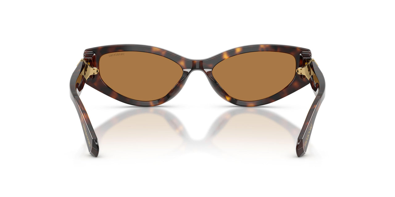 100273 - Tortoise - Bronze
