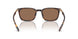 616173 - Tortoise - Dark Brown