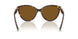801583 - Tortoise - Dark Brown Polar
