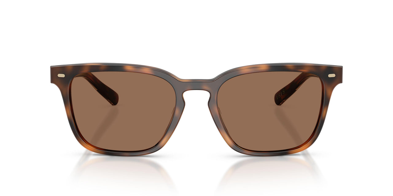 616173 - Tortoise - Solid Brown