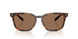 616173 - Tortoise - Solid Brown