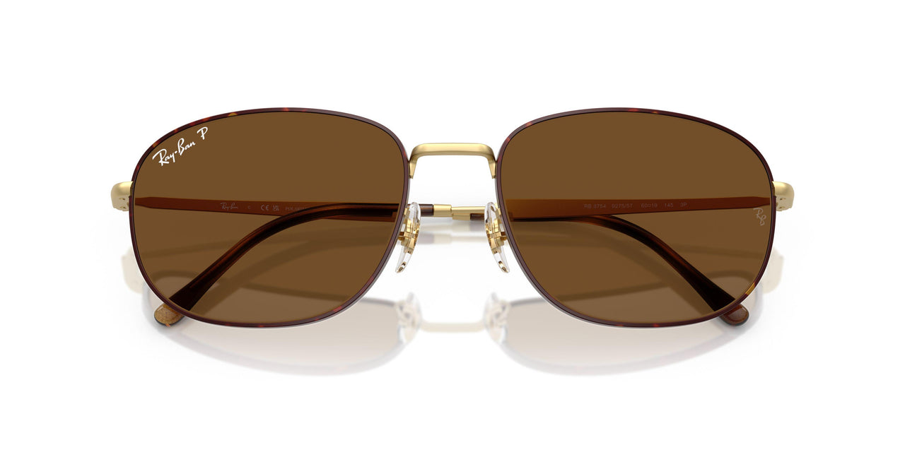 927557 - Havana - Polar Brown
