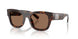 502/73 - Tortoise - Dark Brown