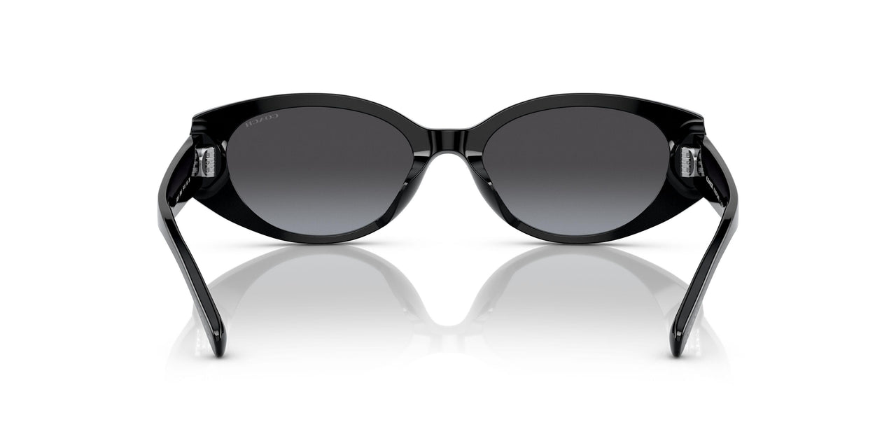 50028G - Black - Grey Gradient
