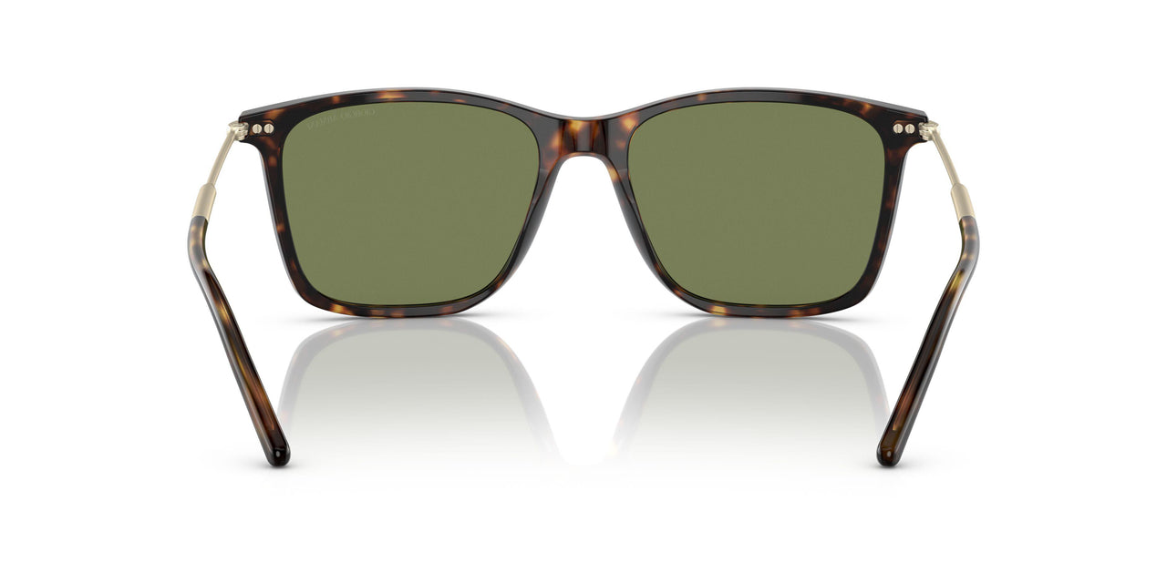 50262A - Havana - Green