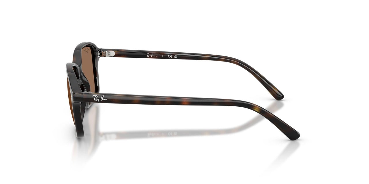 152/73 - Tortoise - Dark Brown
