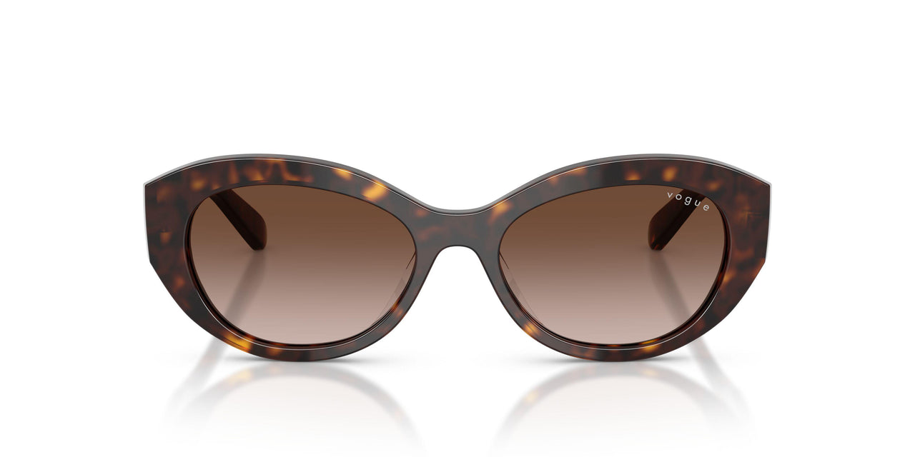 W65613 - Brown - Gradient Brown
