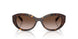 W65613 - Brown - Gradient Brown