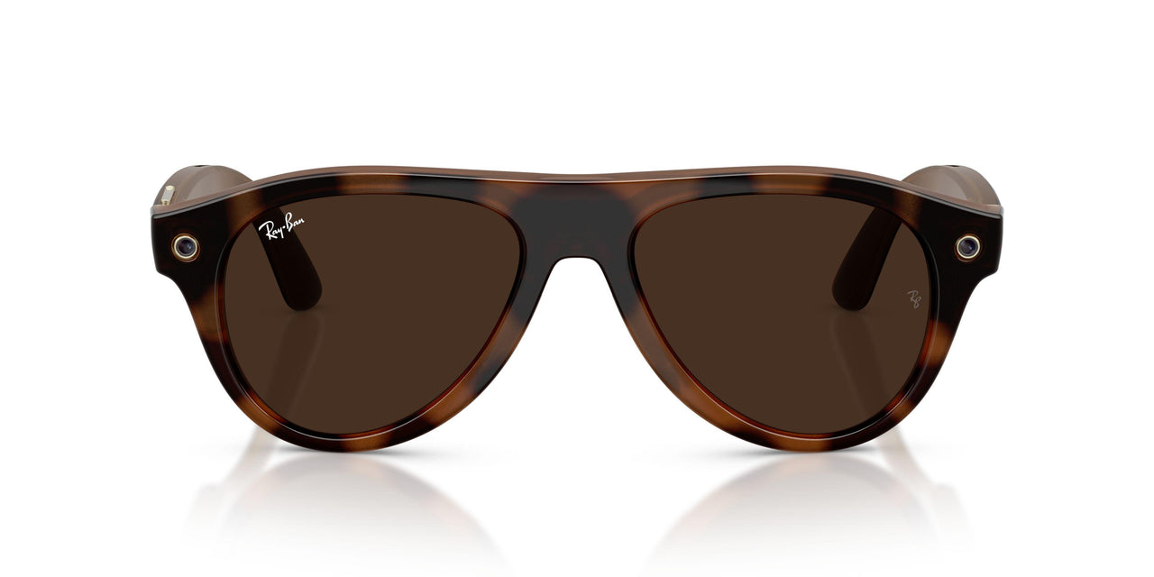 6905M4 - Tortoise - Clear/brown