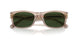 615571 - Brown - Green Solid