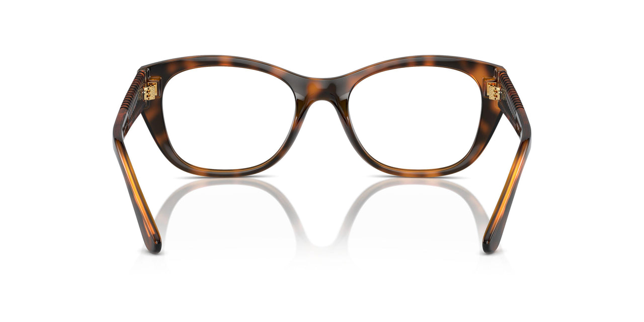 W656 - Brown