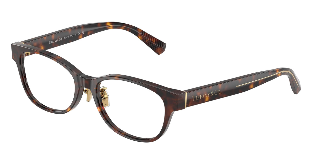 8015 - Tortoise