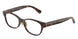 8015 - Tortoise