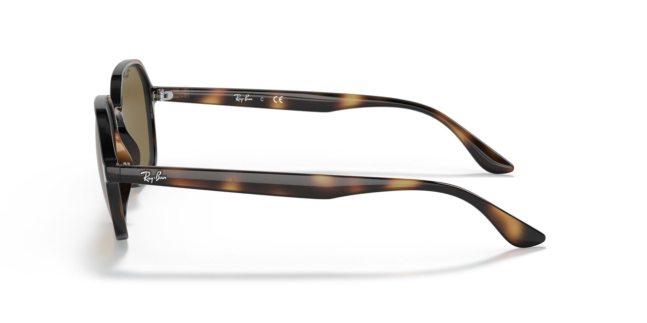 710/73 - Havana - Dark Brown