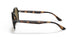 710/73 - Havana - Dark Brown