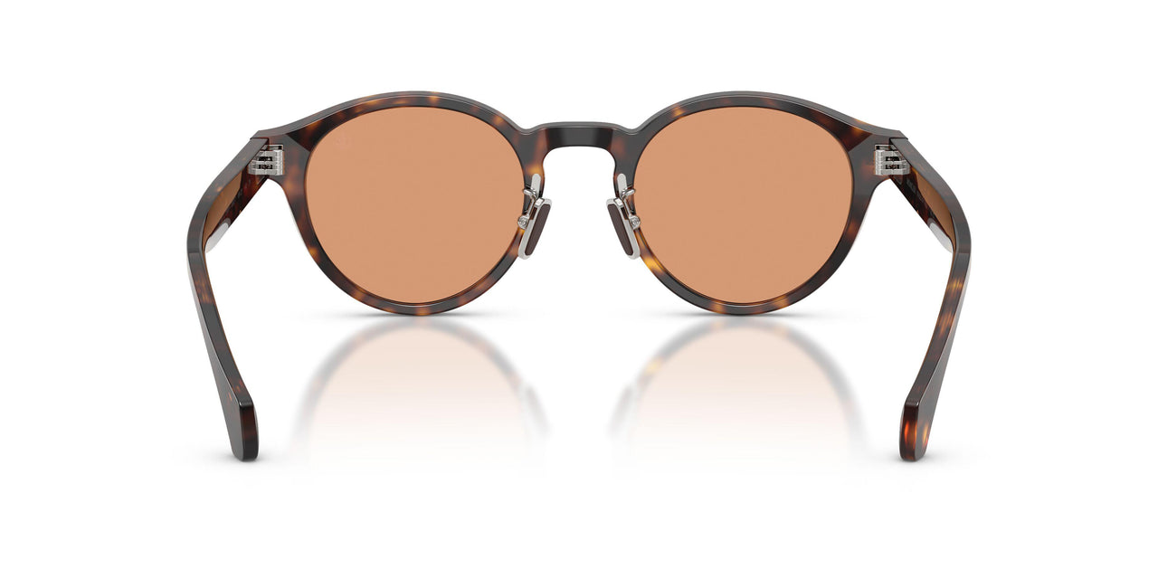 3002/7 - Tortoise - Brown Solid