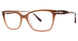 Brown - Brn/blush Fade