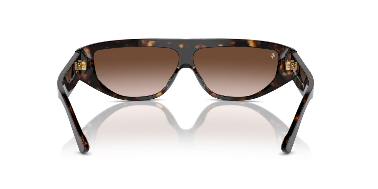702/13 - Tortoise - Gradient Brown
