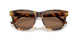 513473 - Tortoise - Brown