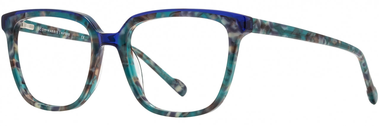 3 - Teal Tortoise
