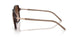 839613 - Brown - Brown Gradient