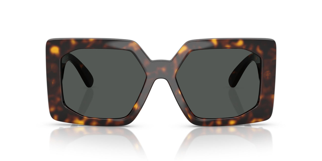 108/87 - Tortoise - Dark Grey