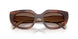 00K10S - Tortoise - Brown Gradient