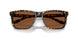 201902 - Tortoise - Copper