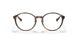 2012 - Tortoise