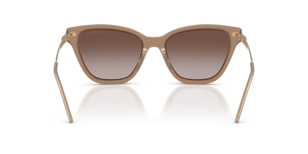 626313 - Brown - Gradient Brown