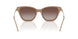 626313 - Brown - Gradient Brown