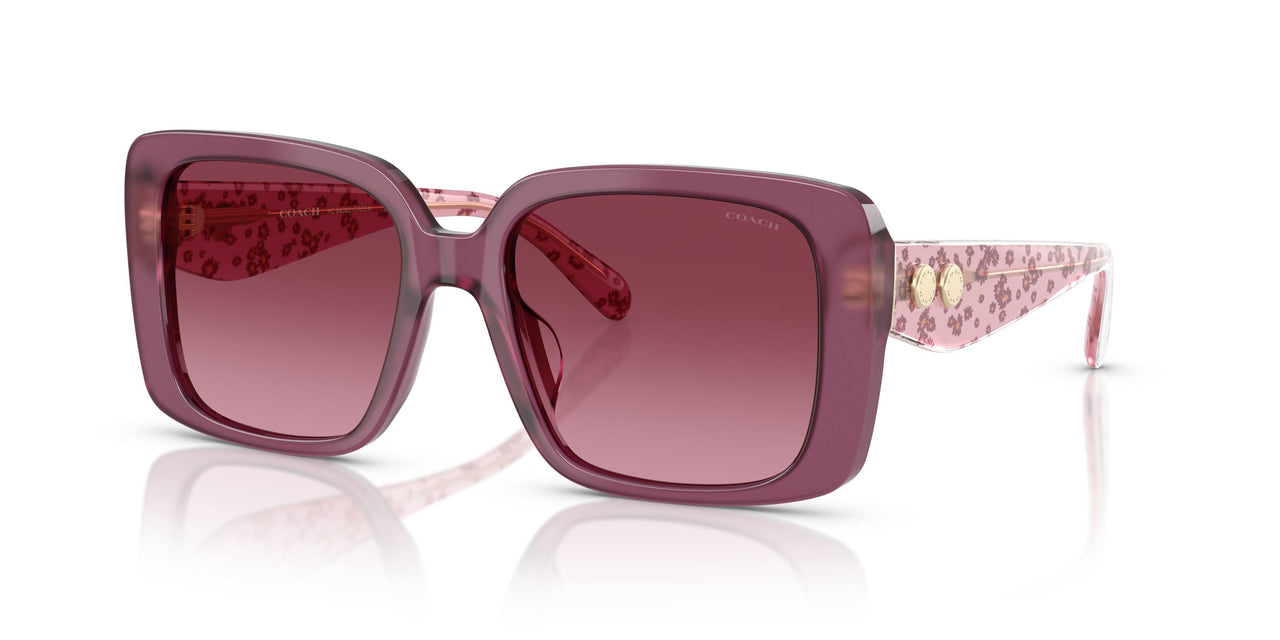 Coach Cad54 8424U Sunglasses