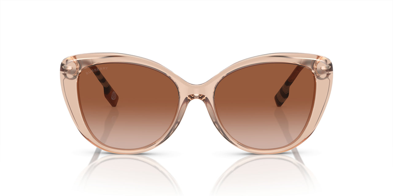 408813 - Pink - Brown Gradient