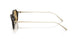 620773 - Tortoise - Brown