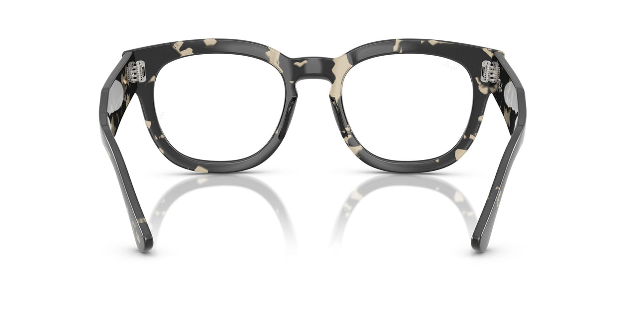 8117 - Tortoise - Clear