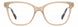 009Q-00 - BROWN