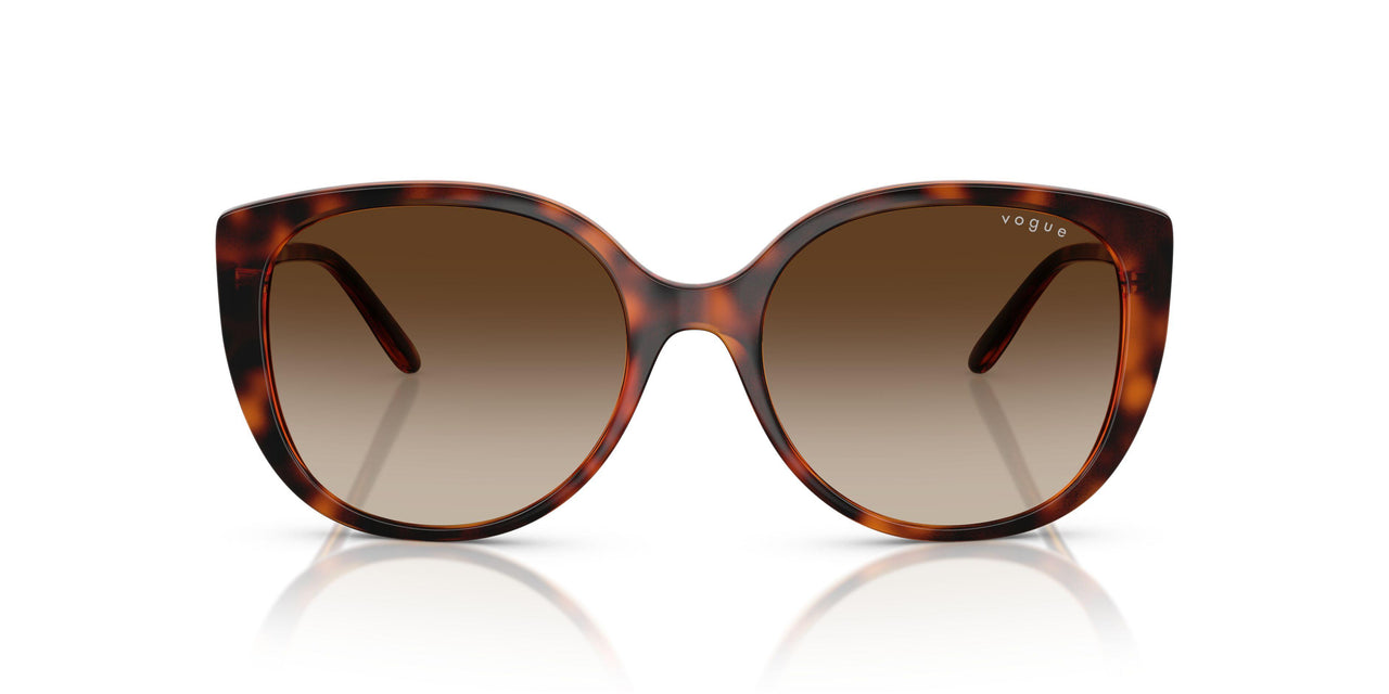 W65613 - Brown - Gradient Brown