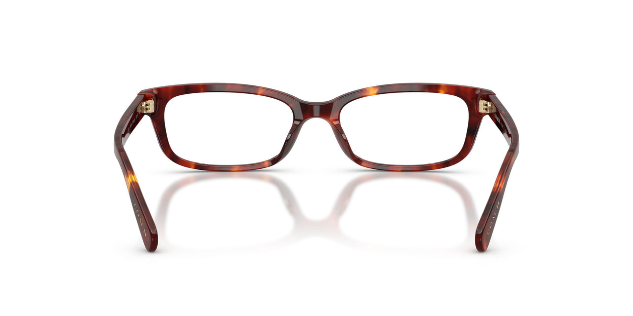 5938 - Tortoise