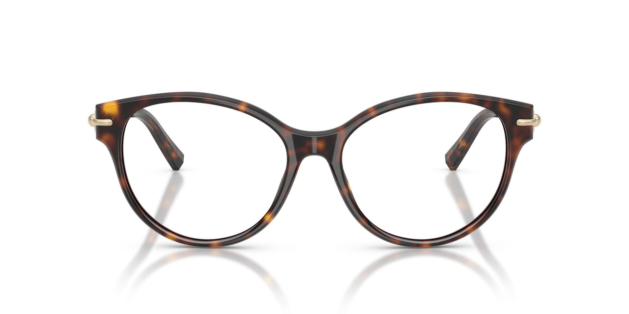8015 - Tortoise