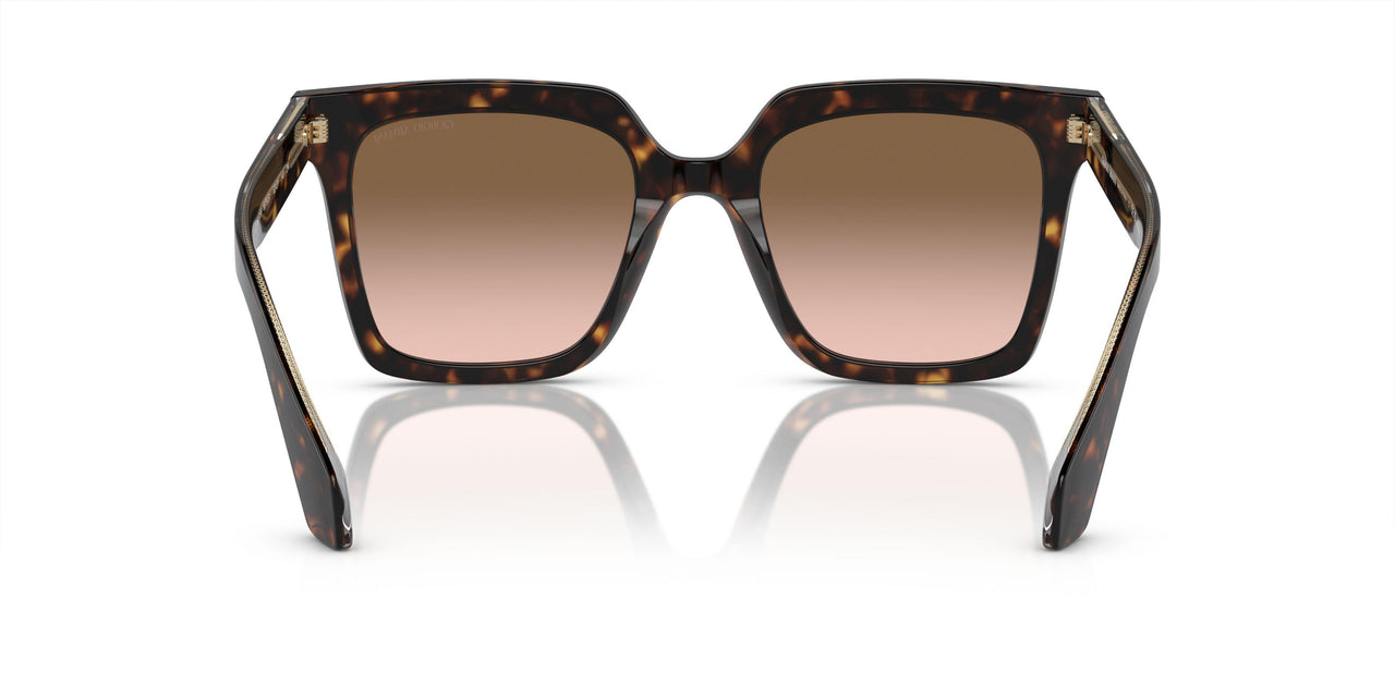 587951 - Tortoise - Brown Gradient