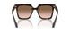 587951 - Tortoise - Brown Gradient