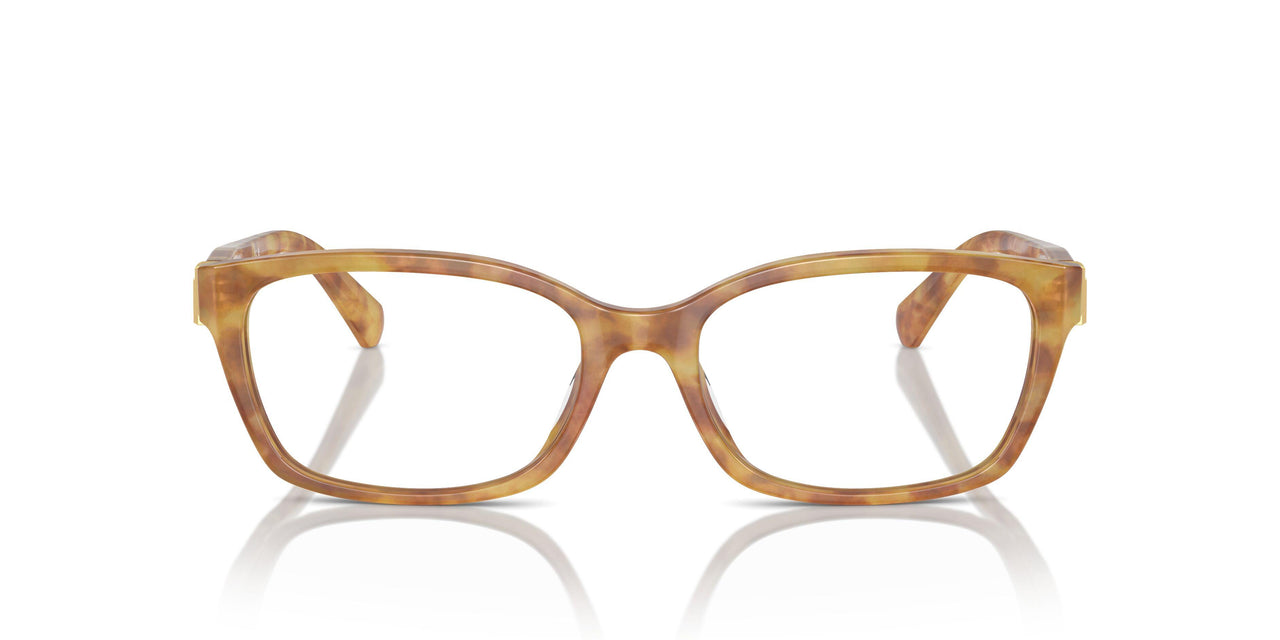 5304 - Tortoise