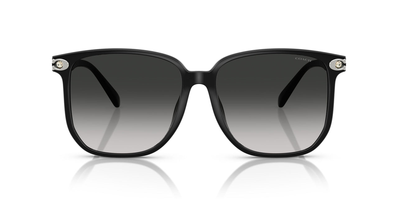 50023C - Black - Grey Gradient