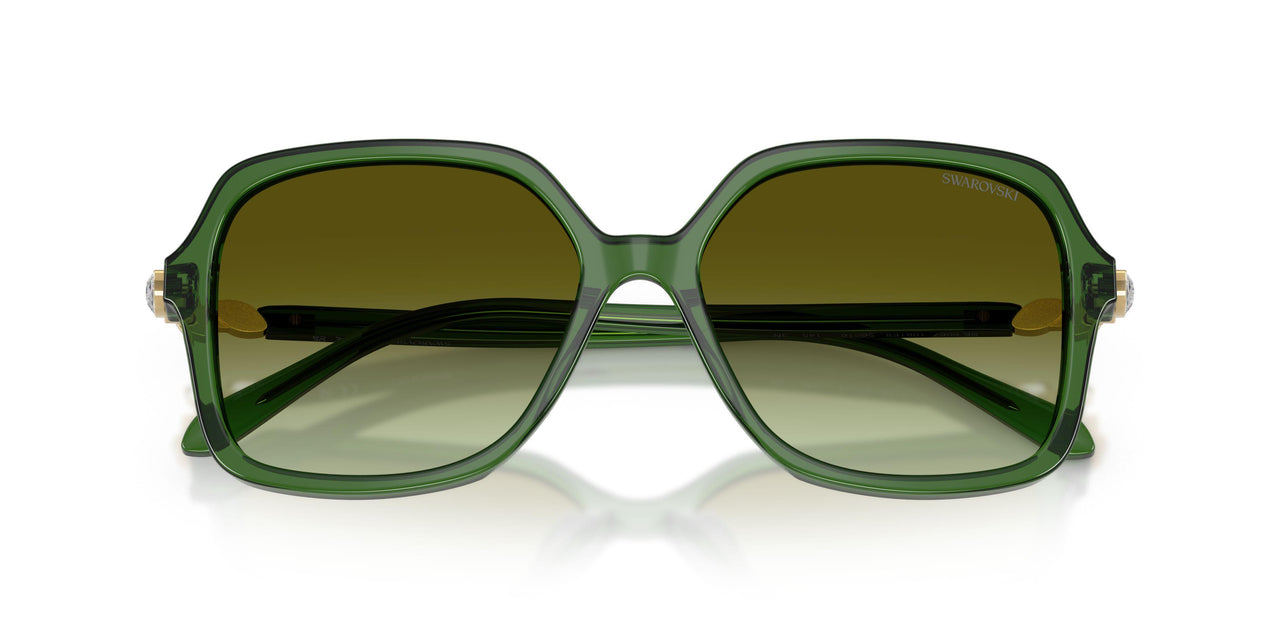 1081E8 - Green - Green Gradient Brown